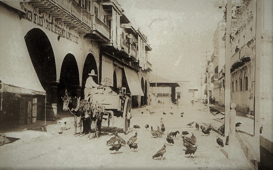 Epidemias y pánico en&nbsp;Veracruz