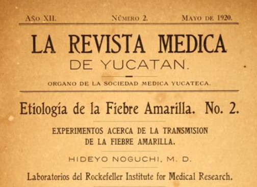 Enfermedades tropicales: fiebre amarilla y&nbsp;paludismo